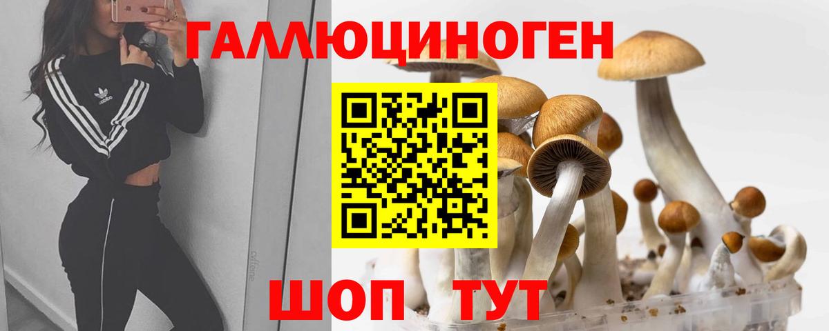 Псилоцибиновые грибы Cubensis  Галлюциногенные грибы Cubensis  Вход с VPN  Майкоп 