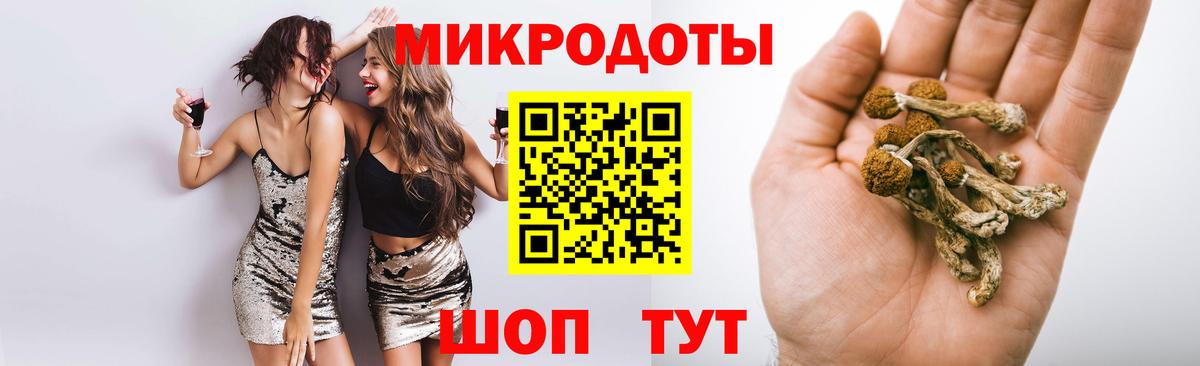 Галлюциногенные грибы Psilocybine cubensis Майкоп